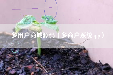 多用户商城源码（多商户系统app）