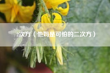 2次方（他妈是可怕的二次方）