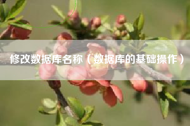 修改数据库名称（数据库的基础操作）