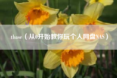 tbase(从0开始教你玩个人网盘NAS)