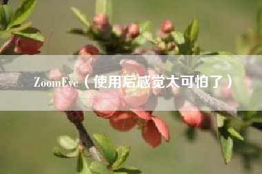 ZoomEye（使用后感觉太可怕了）