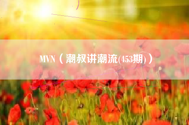 MVN（潮叔讲潮流(453期)）