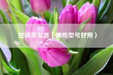 空调蒸发器（哪些型号好用）
