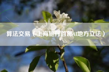 算法交易（上海施行首部AI地方立法）