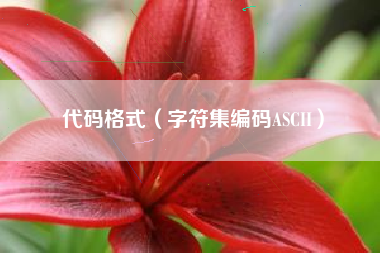 代码格式（字符集编码ASCII）
