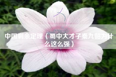 中国剩余定理（蜀中大才子秦九韶为什么这么强）