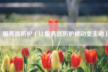 服务器防护（让服务器防护被动变主动）