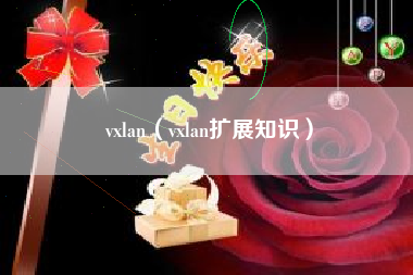 vxlan（vxlan扩展知识）