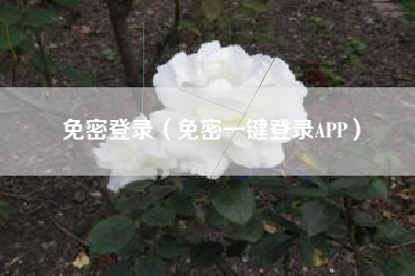 免密登录（免密一键登录APP）