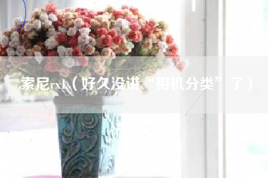 索尼rx1（好久没讲“相机分类”了）