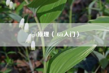 git原理( Git入门)