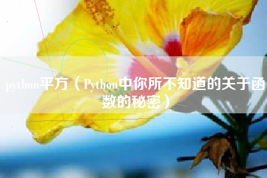 python平方（Python中你所不知道的关于函数的秘密）
