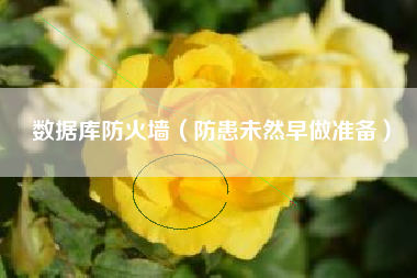 数据库防火墙（防患未然早做准备）