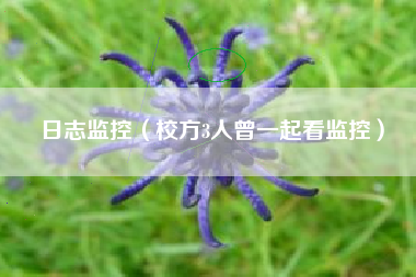 日志监控（校方3人曾一起看监控）