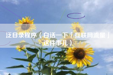 泛目录程序（白话一下「互联网流量」这件事儿）