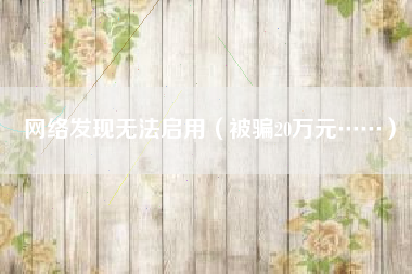网络发现无法启用（被骗20万元……）