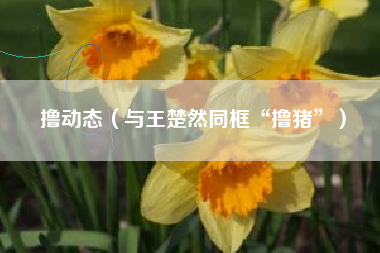 撸动态（与王楚然同框“撸猪”）