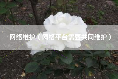 网络维护（网络平台需要共同维护）