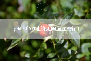 gitblit（NFT也许无需追逐流行）