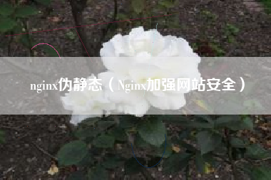 nginx伪静态（Nginx加强网站安全）