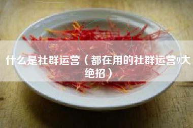 什么是社群运营（都在用的社群运营9大绝招）