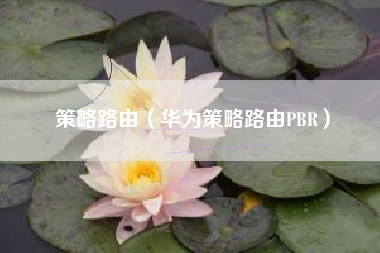 策略路由（华为策略路由PBR）