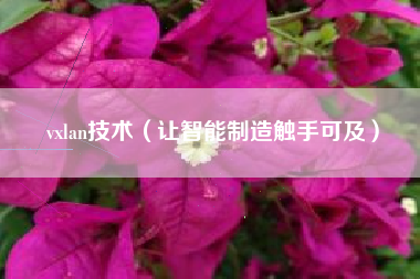 vxlan技术（让智能制造触手可及）