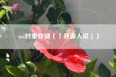 oss对象存储（「开源人说」）