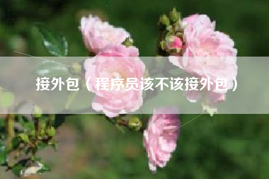 接外包(程序员该不该接外包)