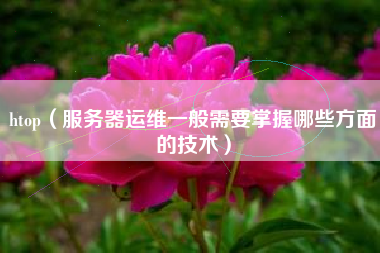 htop（服务器运维一般需要掌握哪些方面的技术）