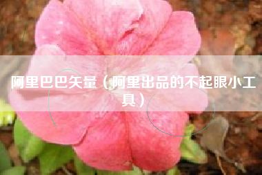 阿里巴巴矢量（阿里出品的不起眼小工具）