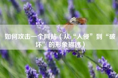 如何攻击一个网站（从“入侵”到“破坏”的形象描述）