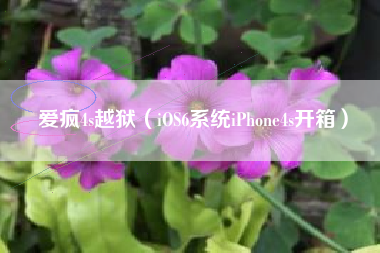 爱疯4s越狱（iOS6系统iPhone4s开箱）