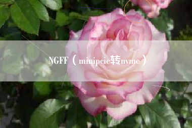 NGFF（minipcie转nvme）