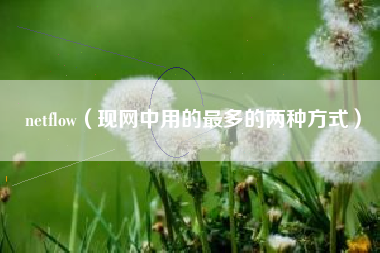 netflow（现网中用的最多的两种方式）