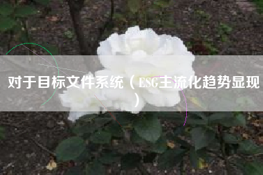 对于目标文件系统（ESG主流化趋势显现）