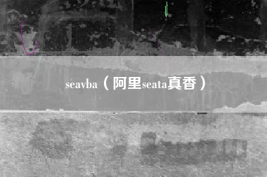 seavba（阿里seata真香）