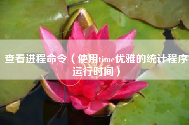 查看进程命令（使用time优雅的统计程序运行时间）