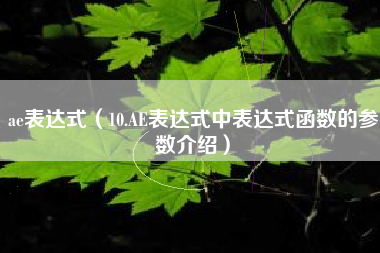 ae表达式（10.AE表达式中表达式函数的参数介绍）