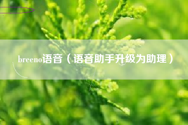 breeno语音（语音助手升级为助理）
