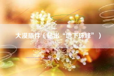 大漠插件(钻出“地下珠峰”)