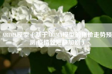 ARIMA模型（基于ARIMA模型的猪价走势预测:疫情致短缺加剧）