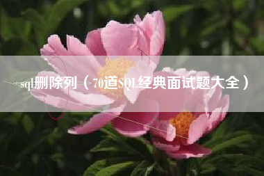 sql删除列（70道SQL经典面试题大全）
