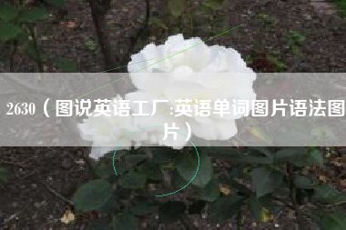 2630（图说英语工厂:英语单词图片语法图片）