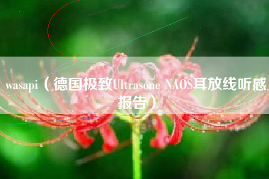 wasapi（德国极致Ultrasone NAOS耳放线听感报告）