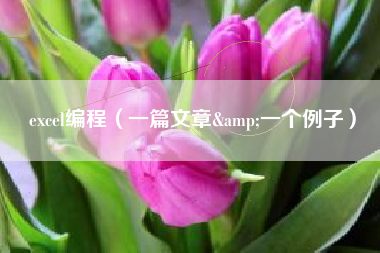 excel编程（一篇文章&一个例子）