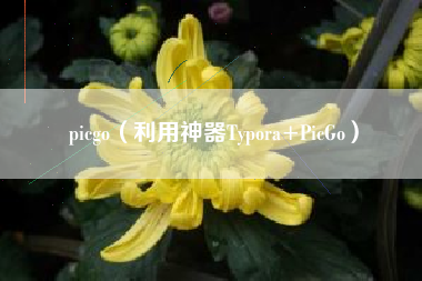 picgo（利用神器Typora+PicGo）