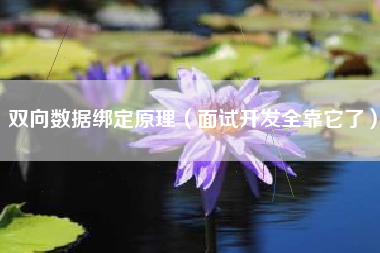 双向数据绑定原理（面试开发全靠它了）