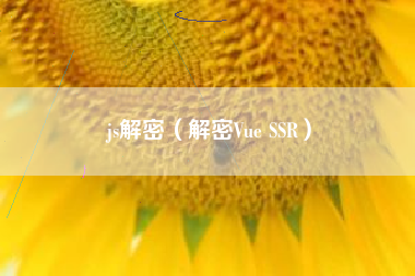 js解密（解密Vue SSR）