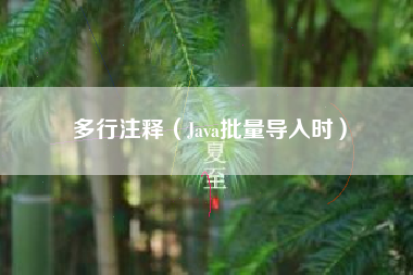 多行注释(Java批量导入时)